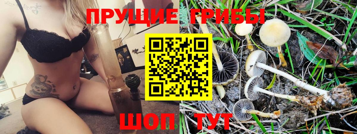 Домодедово  Галлюциногенные грибы мухоморы  Вход с VPN 